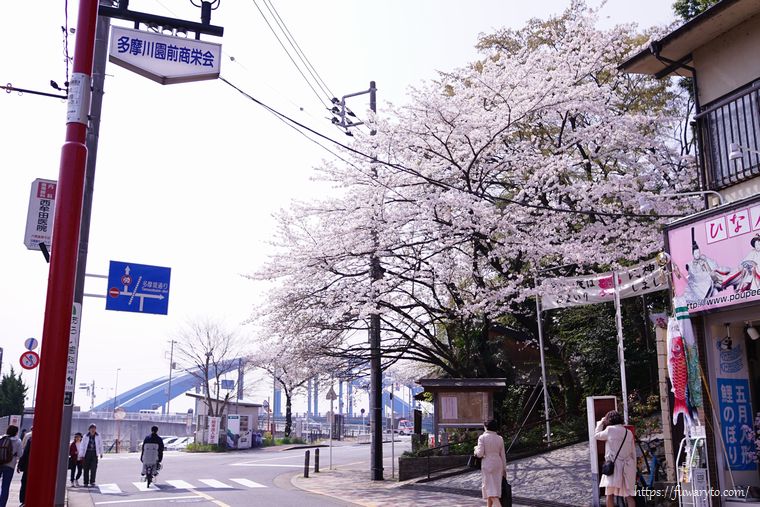 左手には青い丸子橋。右手は浅間神社入口です。