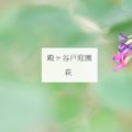 萩：咲きかけの可愛い子（殿ヶ谷戸庭園）【作例】SEL90M28G