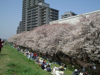 2004/4/3　とってもいい天気でお花見客がたくさん☆
