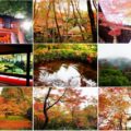 【旅レポまとめ】秋の京都一人旅：大原・伏見・嵯峨野（2017年11月）
